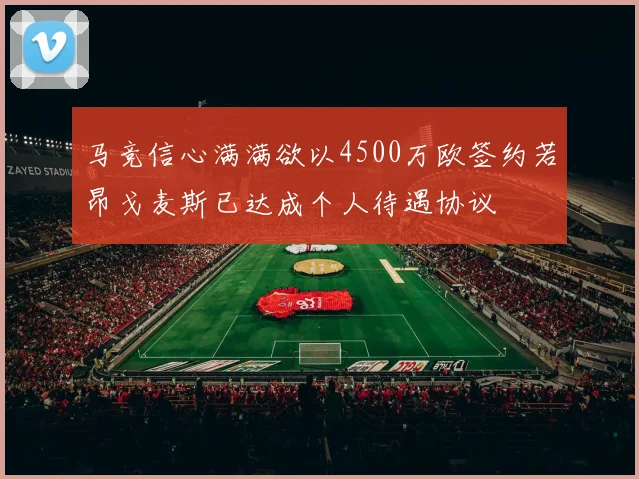 马竞信心满满欲以4500万欧签约若昂戈麦斯已达成个人待遇协议